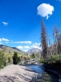 Waterton282
