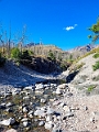 Waterton306
