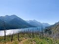 Waterton344