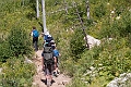 Waterton353
