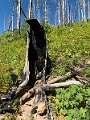 Waterton355