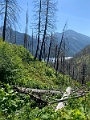 Waterton356