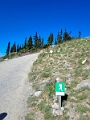 Whistler108
