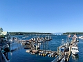 Nanaimo028