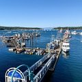 Nanaimo029