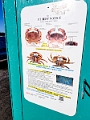 Nanaimo041