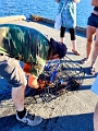 Nanaimo043
