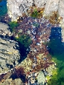 Nanaimo075