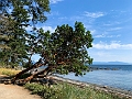 Nanaimo084