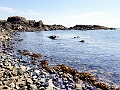 Nanaimo087