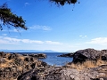 Nanaimo099