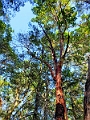 Victoria073