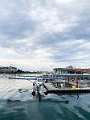 Victoria118