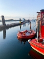 Victoria264