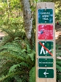 Vancouver094