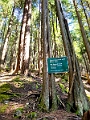 Vancouver095