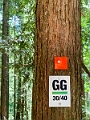 Vancouver105