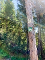 Vancouver109