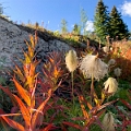 Sunshine062