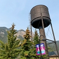 Yoho005