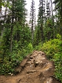 Yoho011