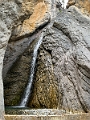 Yoho014