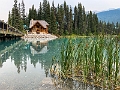 Yoho023