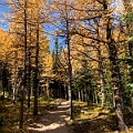 LarchValley018