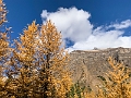LarchValley022