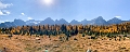 LarchValley026