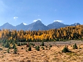 LarchValley031