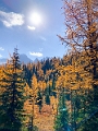 LarchValley034