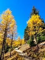 LarchValley035