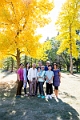 WongFamily012