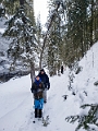 Banff056
