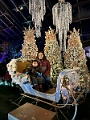 ZooLights005