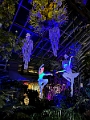 ZooLights007