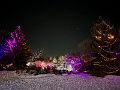 ZooLights008