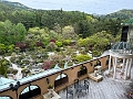 Japan384