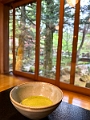 Japan387