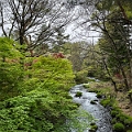 Japan389