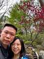 Japan390