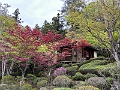 Japan393