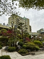 Japan396