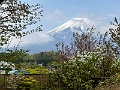 Japan431