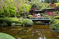 Japan437