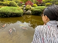 Japan456