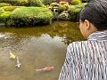 Japan457
