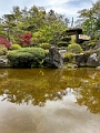 Japan461