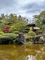 Japan462
